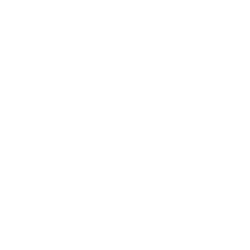Loan Participations