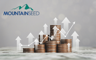 MountainSeed Facilitates Two Major Transactions, Showcasing Its Market Expertise